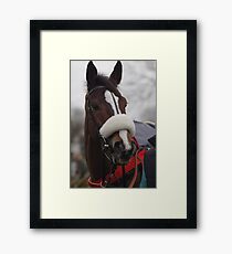 Kauto Star Framed Print
