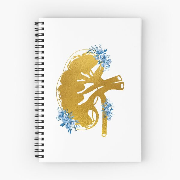 Item preview, Kidney section designed and sold by Liededrom..