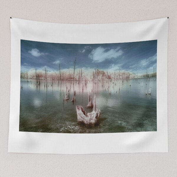 Item preview, Manasquan Reservoir Infrared Color designed and sold by Gerard Fornarotto.