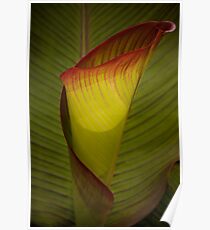 Luminous Foliage Poster
