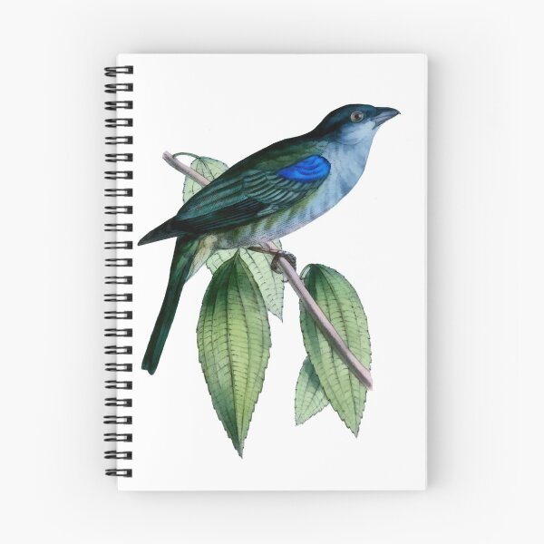 Item preview, Blue-gray Tanager designed and sold by PictureNZ.