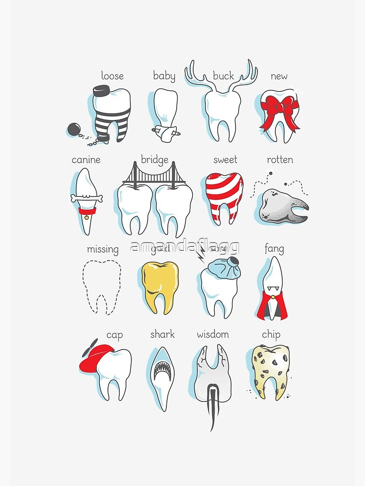 Dental Definitions by amandaflagg