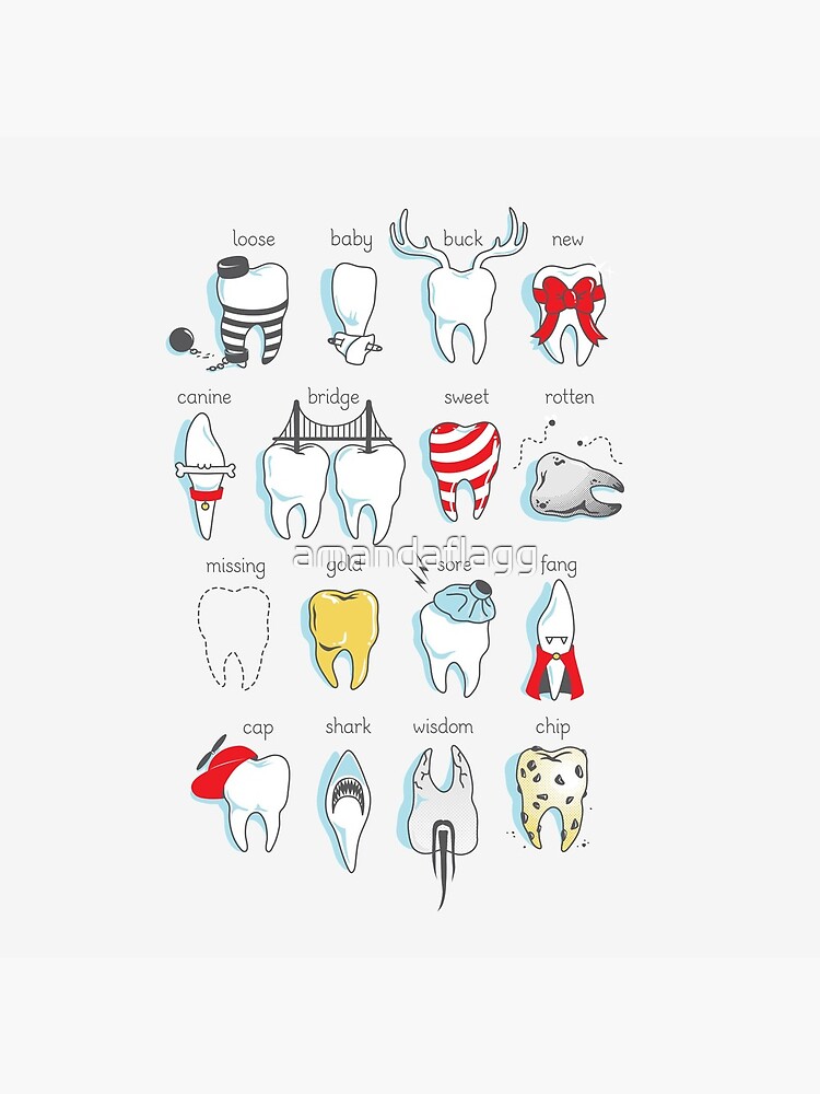 Dental Definitions by amandaflagg