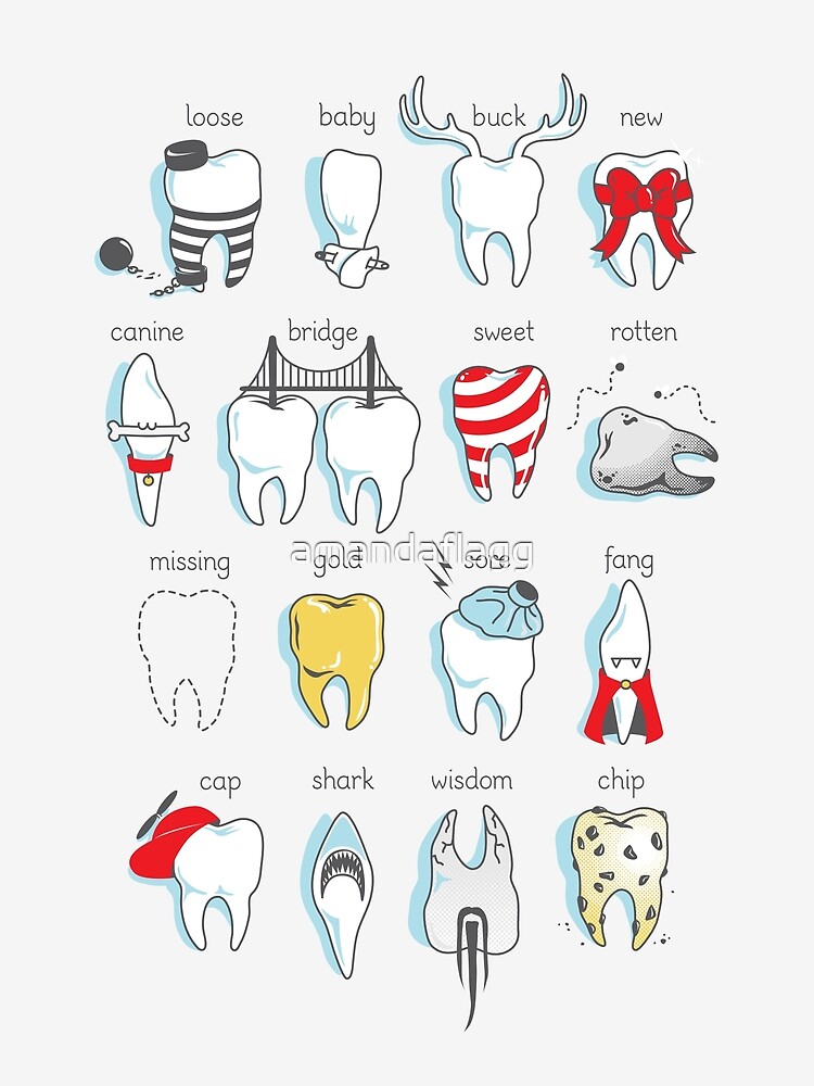 "Dental Definitions" Photographic Print by amandaflagg Redbubble