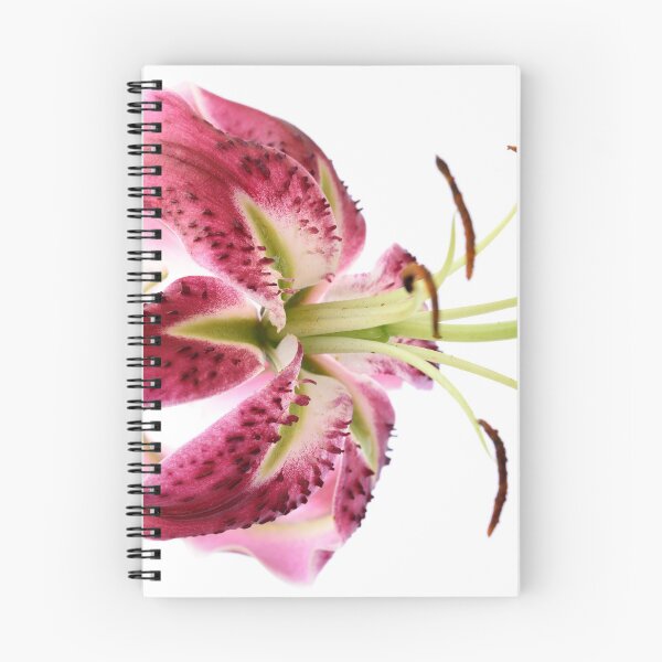 Item preview, Lily designed and sold by Chris Burrows.