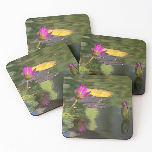 Item preview, Hot Pink Water Lily at Balboa Park San Diego designed and sold by K D Graves Photography.