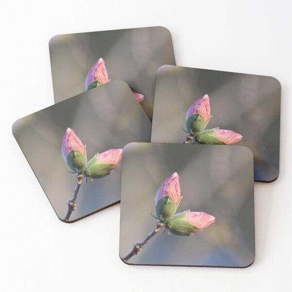 Item preview, Never to late to bloom designed and sold by Tonia Delozier's Photography .