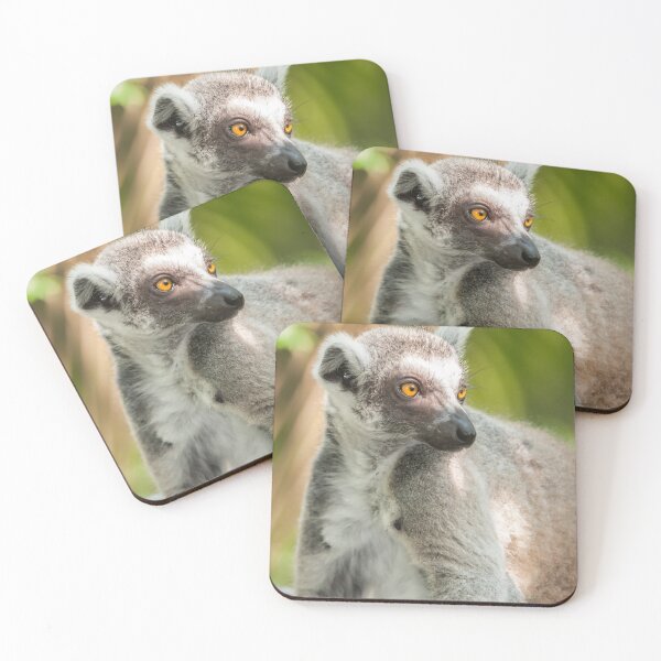 Item preview, Ring-tailed Lemur designed and sold by photograham.