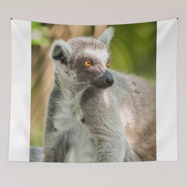 Item preview, Ring-tailed Lemur designed and sold by photograham.