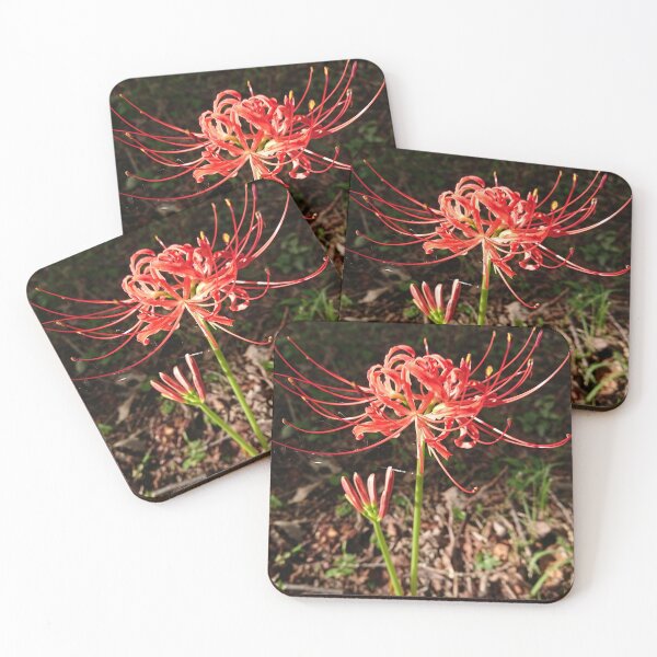 Item preview, Fall flower in bloom designed and sold by supernut.