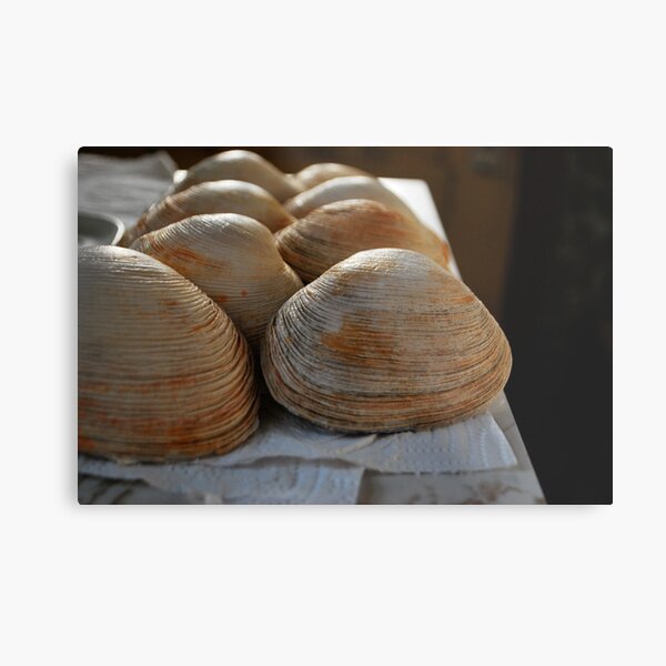 Line of shells Metal Print