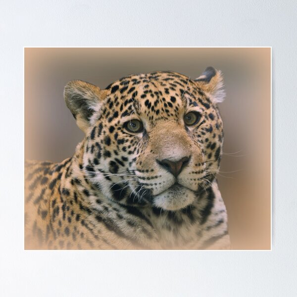 Item preview, Young Jaguar designed and sold by Sandy Keeton.