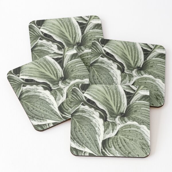 Item preview, Hosta Leaves In The Rain 6 designed and sold by Robert Alsop.