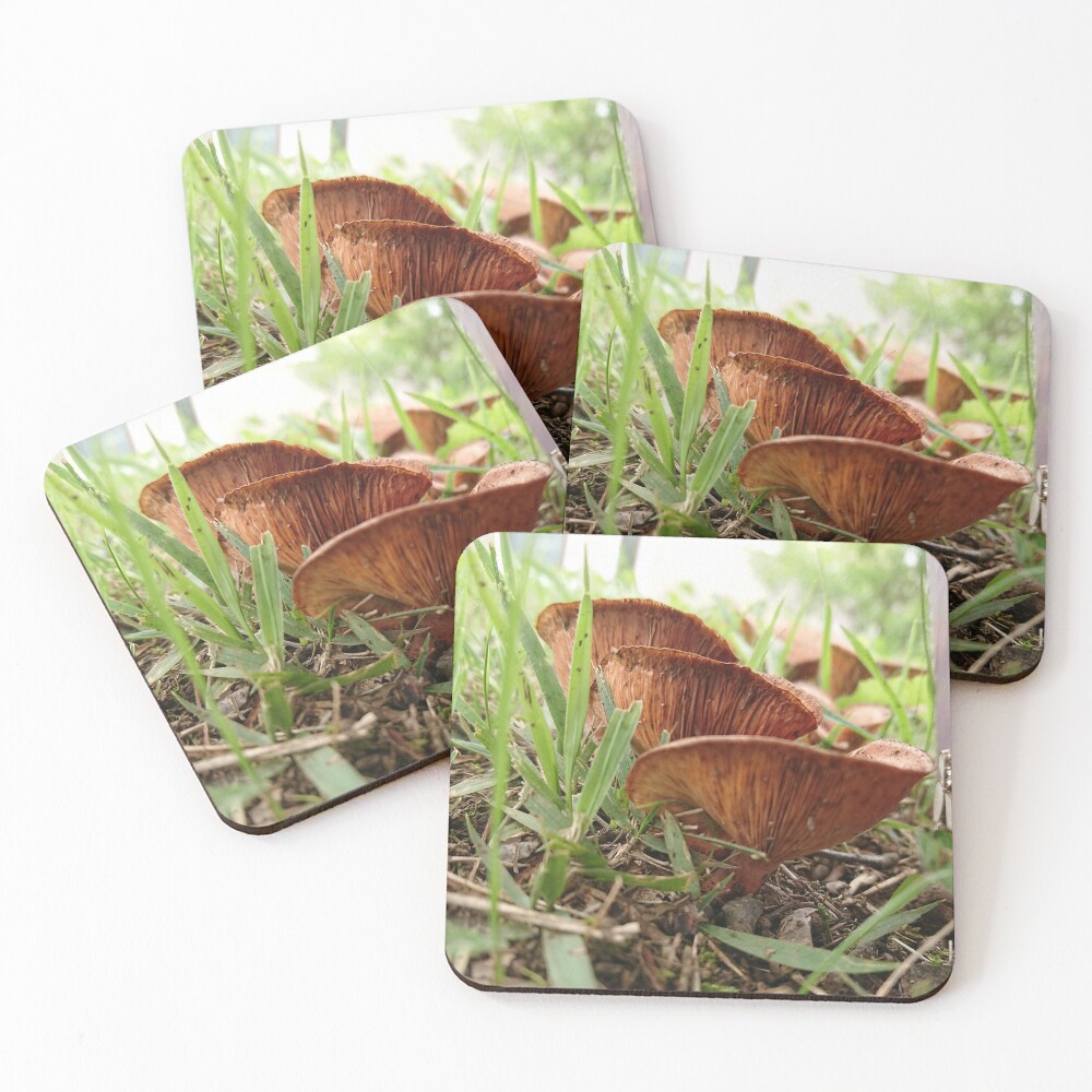 Item preview, Coasters (Set of 4) designed and sold by supernut.