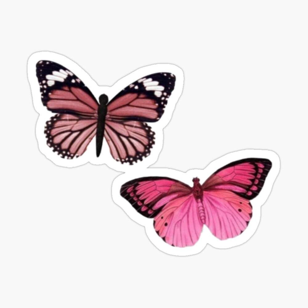 pink butterflies photographic print by dizzybby redbubble