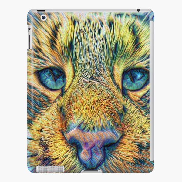 iPad Retina/3/2 - Snap