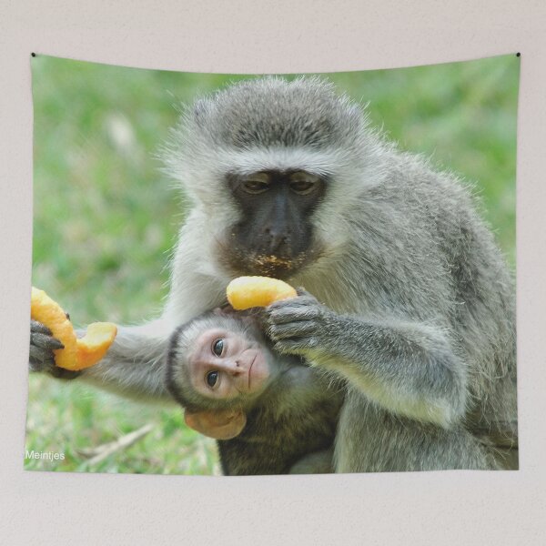 Item preview, GROWNUPS ALWAYS GETS THE BEST - Vervet Monkey, (CERCOPITHECUS PYGERYTHRUS) designed and sold by Magriet Meintjes.