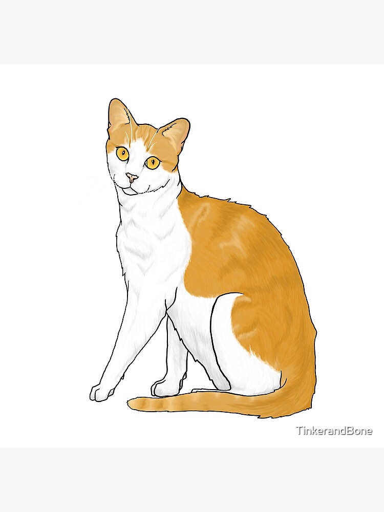 "Orange and White Cat" Art Print by TinkerandBone | Redbubble