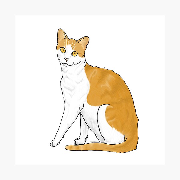 Item preview, Orange and White Cat designed and sold by TinkerandBone.