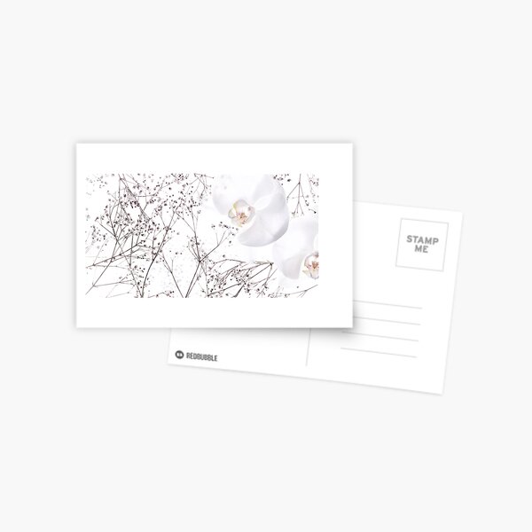 Two Of A Kind Postcard