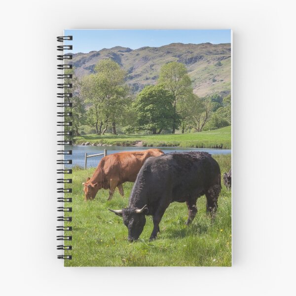Item preview, Elterwater designed and sold by andrewroland.