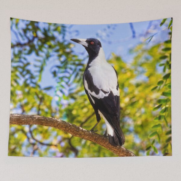 Item preview, Magestic Magpie, Mindarie, Perth, Western Australia designed and sold by Dave Catley.