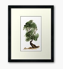 Little Tree 122 Framed Print