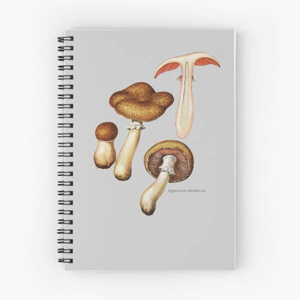 Item preview, Agaricus silvaticus (or A. sylvaticus), the scaly wood mushroom. designed and sold by Squirrox.