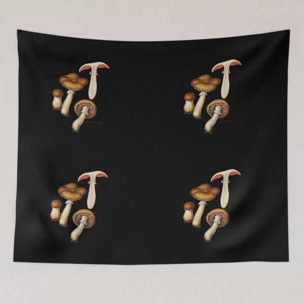 Item preview, Agaricus silvaticus (or A. sylvaticus), the scaly wood mushroom. designed and sold by Squirrox.