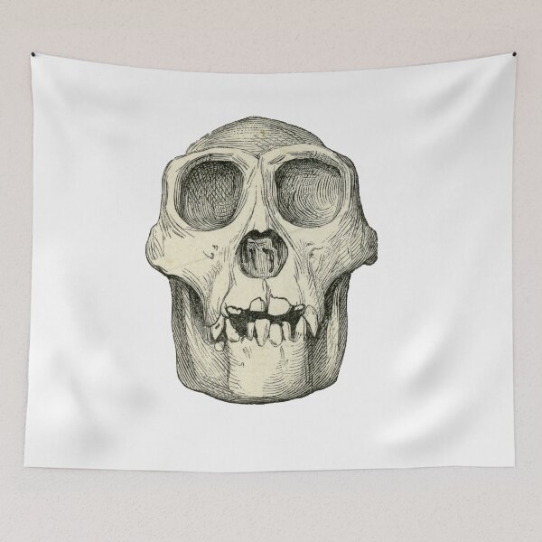 Item preview, Gorilla Skull  designed and sold by taspaul.