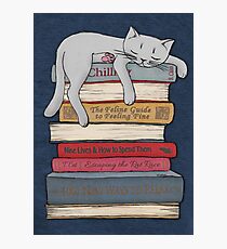How to Chill Like a Cat Photographic Print