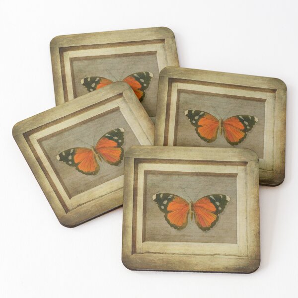 Item preview, Butterfly in a Frame designed and sold by Keith's Photo Artistry.