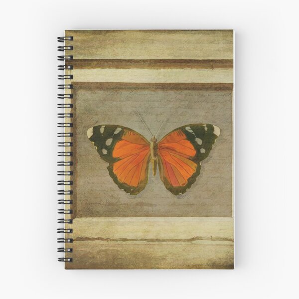 Item preview, Butterfly in a Frame designed and sold by Keith's Photo Artistry.