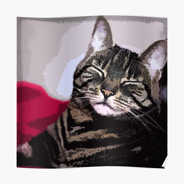 Sleepy Kitty Art Poster