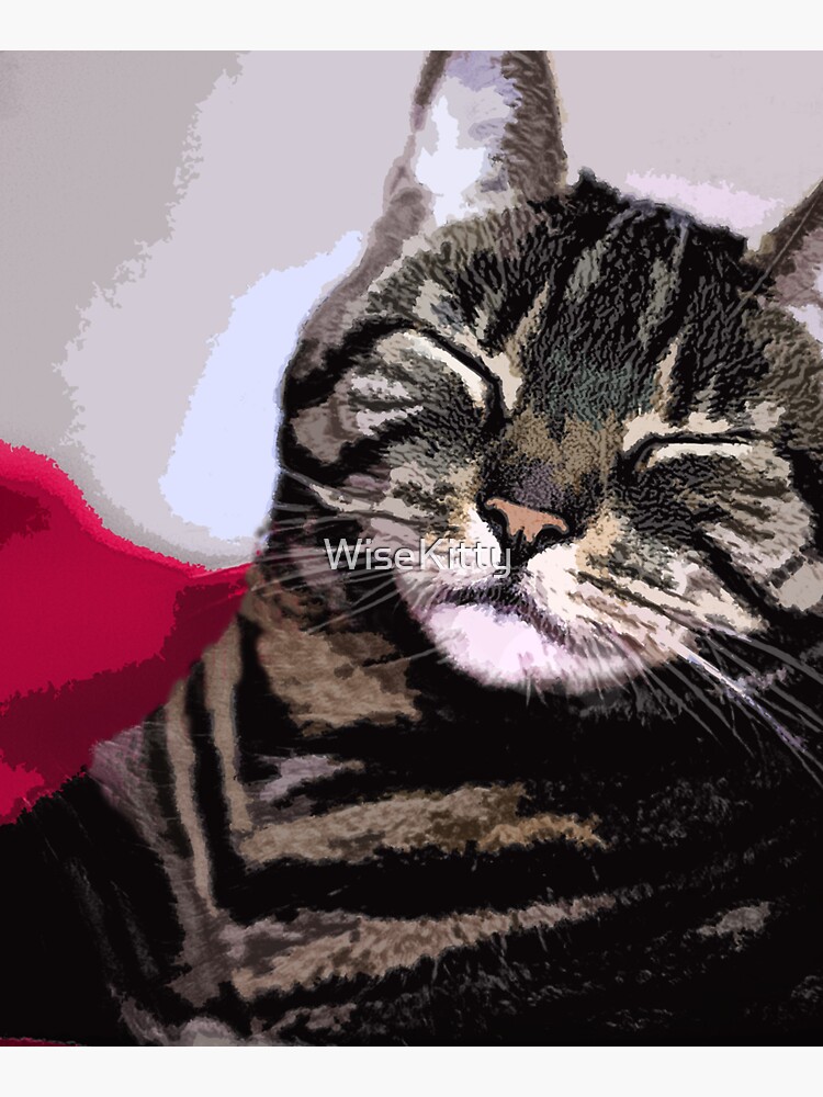 Sleepy Kitty Art by WiseKitty