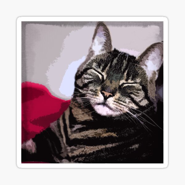 Sleepy Kitty Art Sticker