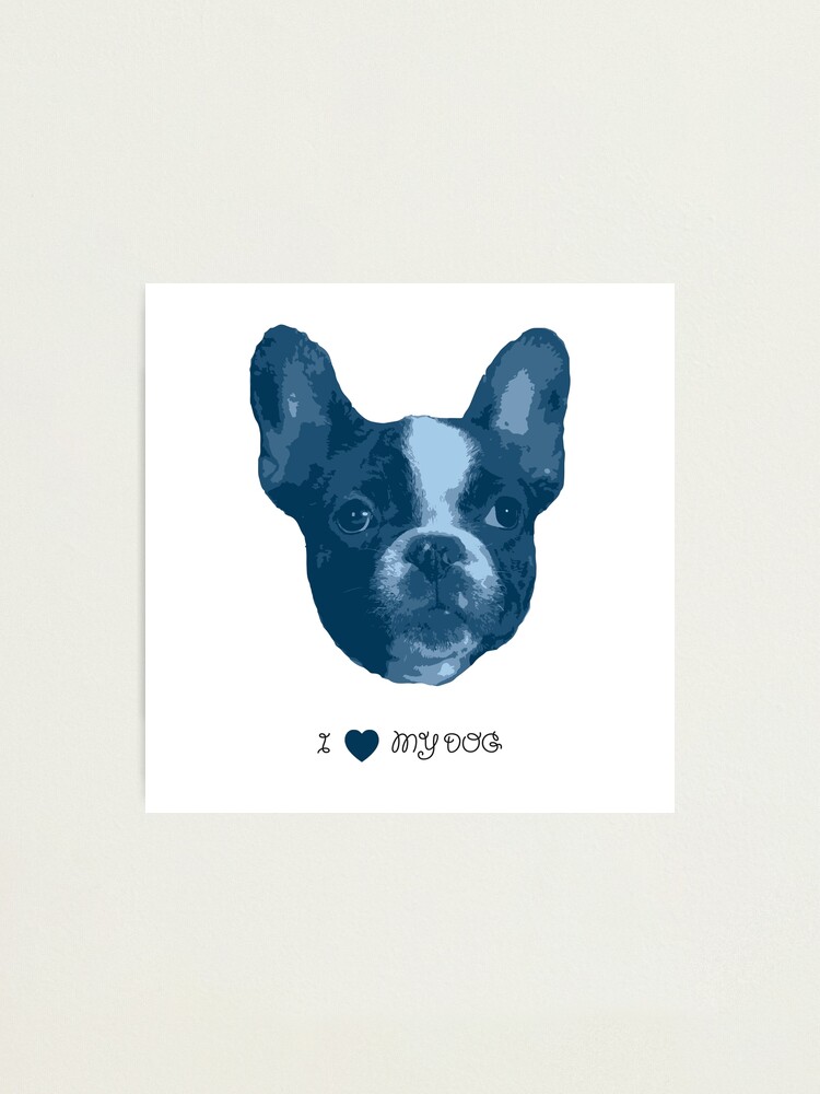 Alternate view of I love my dog - French Bulldog (Blue) Photographic Print