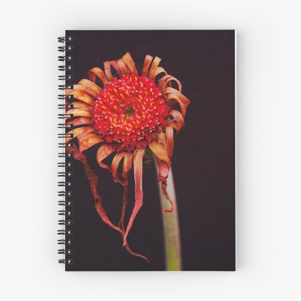 Item preview, Gerbera  designed and sold by Clare Colins.