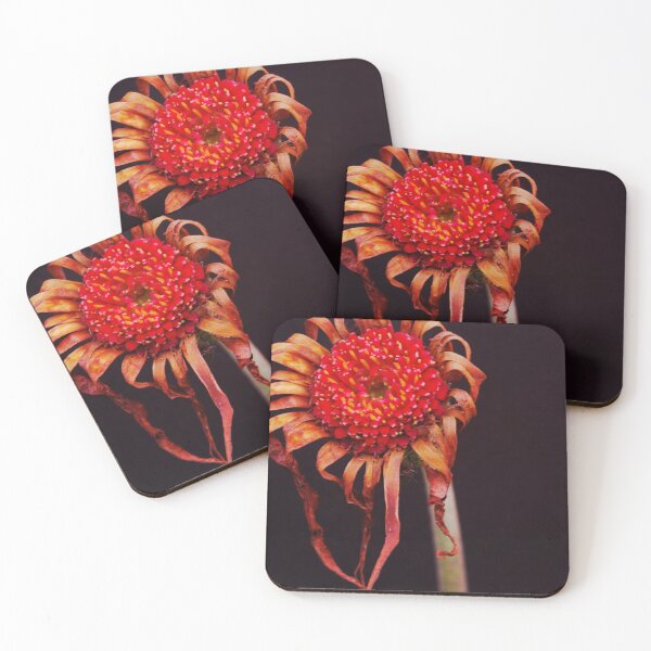 Item preview, Gerbera  designed and sold by Clare Colins.