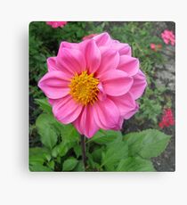 Pretty In Pink Metal Print