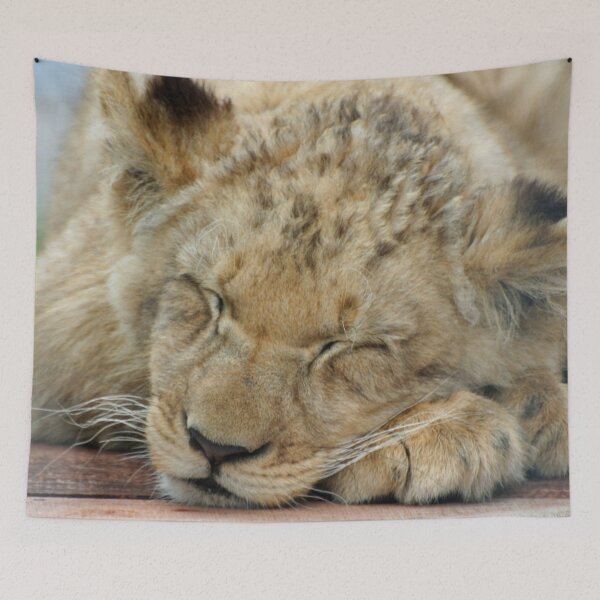 Item preview, Lion 003 designed and sold by JAMFoto.