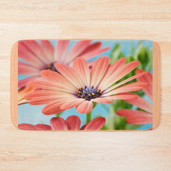 Artikelvorschau, Osteospermum Serenity Rosenmagie = 'Balseroma' Serenity-Serie entworfen und verkauft von Chris Burrows.
