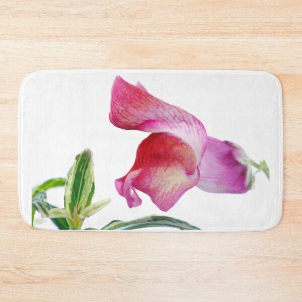 Item preview, Antirrhinum majus  'Frosted Flame'  Snapdragon  designed and sold by Chris Burrows.