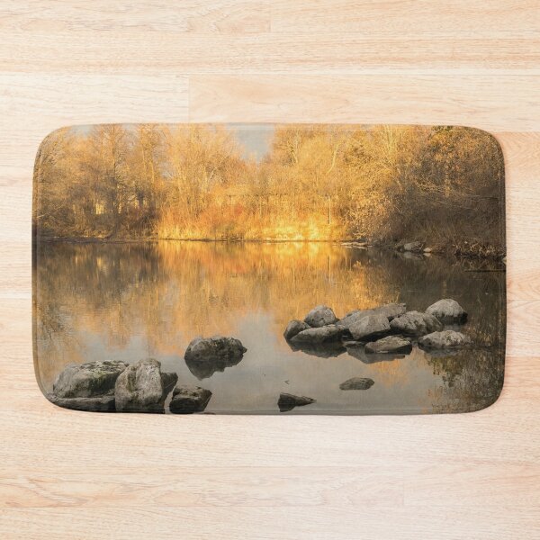 Item preview, Gold and Silver - Late Fall Reflections at the Pond Take One designed and sold by Georgia Mizuleva.