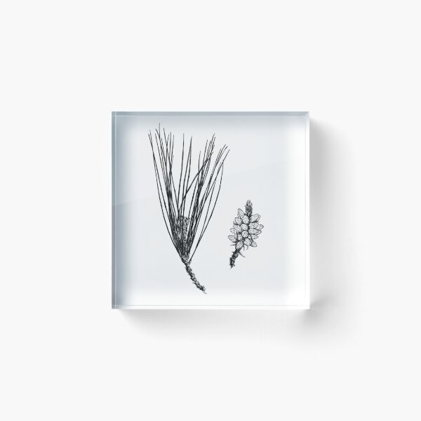 Item preview, Pine cone designed and sold by Aleksandra Kabakova.