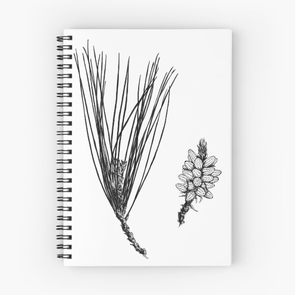 Item preview, Pine cone designed and sold by Aleksandra Kabakova.