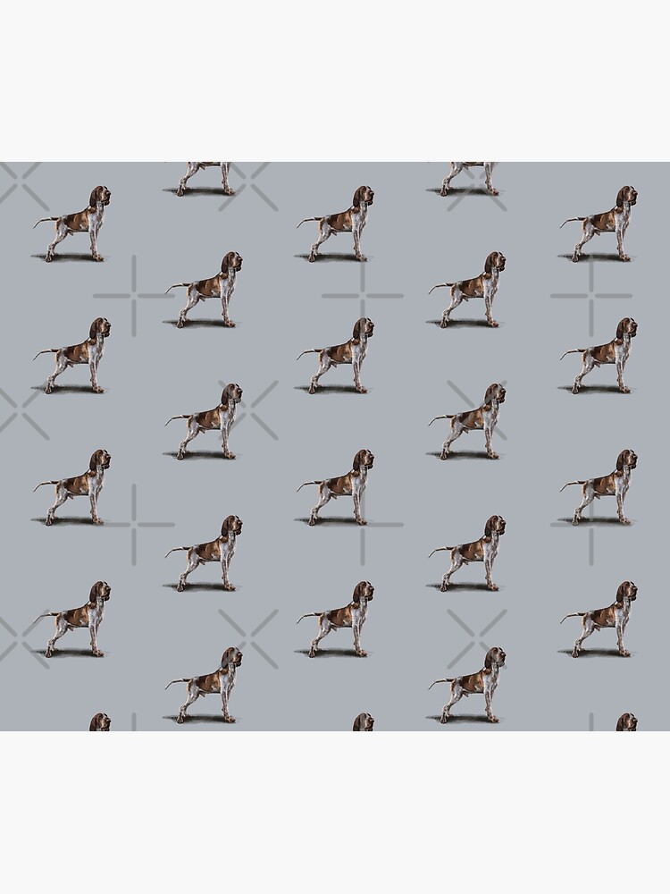 The Bracco Italiano by elspethrose