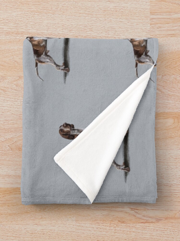 Alternate view of The Bracco Italiano Throw Blanket
