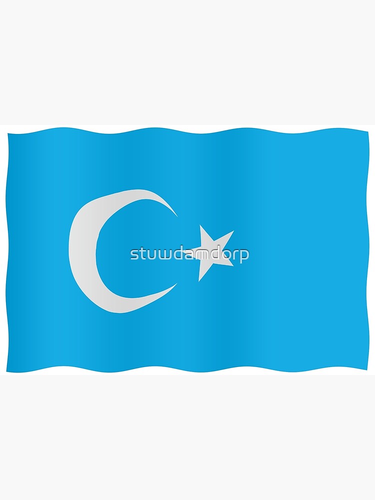 Uyghur Flag Canvas Print For Sale By Stuwdamdorp Redbubble