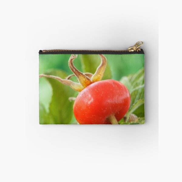 Item preview, Rosa rugosa  'Alba'  AGM  Rose hip   designed and sold by Chris Burrows.